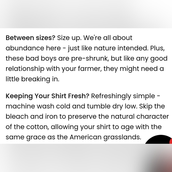 Regenaissance - Mustard  Men's T-Shirt - Picture 11 of 13